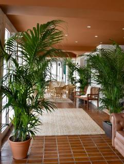 Hotel Portofino - Lido di Jesolo - 8