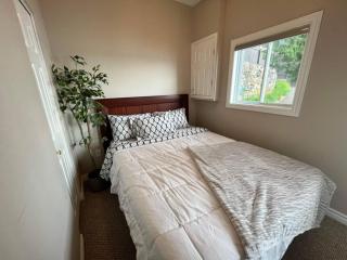Cozy Lakefront Cottage - Coe Hill - 5