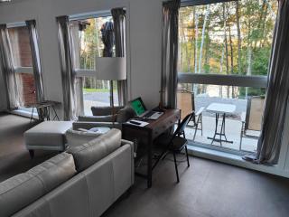 Nature modern lake retreat - 6