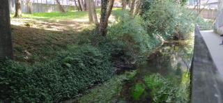 Moderno y luminoso 2 dormitorios con todas las comodidades en Pontevedra ciudad - Pontevedra - 8