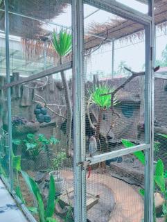 BTN Mahkota Pemenang 13 Tamarin 3A - 0