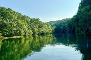 Norris Cove Escape - Caryville - 6
