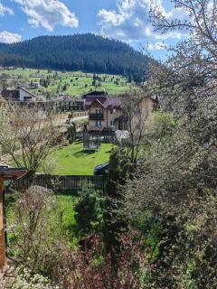 Casa bunicilor cu dor de Bucovina - Câmpulung Moldovenesc - 6