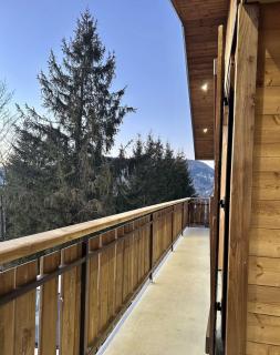 Chalet montagnard - Bussang - 8