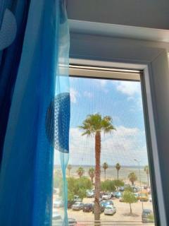 Apartamento Concepción - Playa de la Cachucha - Puerto Real - 5