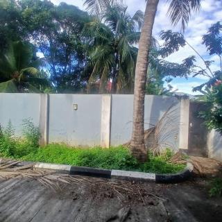 Faarihah Villa - Città di Zanzibar - 7