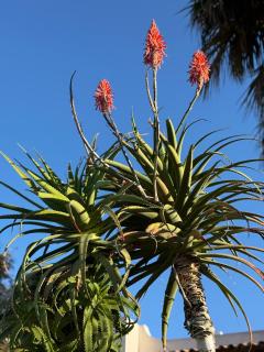 Il Maestrale Marsala - Marsala - 4