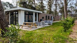 Boslodge 111 met Hottub - Het Groene Hert - Haarle - 9
