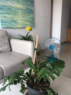 Căn hộ cao cấp Nera Garden 2pn - Huế - 8