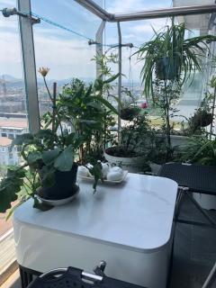 Căn hộ cao cấp Nera Garden - Thôn Văn Dương - 4