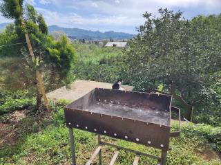Nugzar House Chakvi - 2 Bedrooms - Chakvi - 4