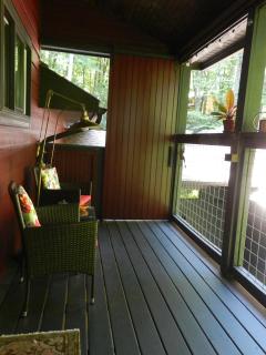 Treetops - Maggie Valley - 6