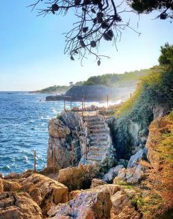 La palme de Selyan Elegance&Mer - Cannes - 3