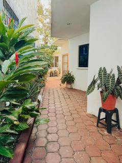 Villa Magnolia - Cozy Hideaway - Cozumel - 8