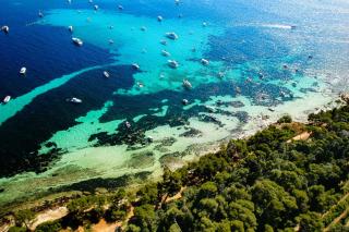 La palme de Selyan Elegance&Mer - Cannes - 6