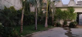 Nitin tyagi homestay - Khekra - 6