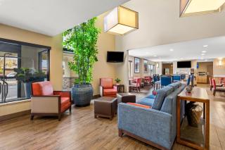 Comfort Inn & Suites Albuquerque Downtown - Albuquerque - 1
