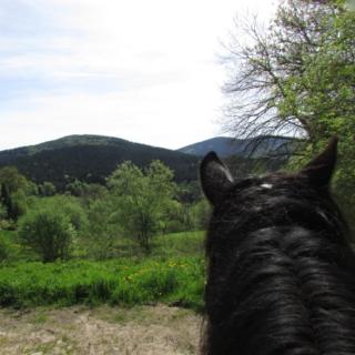 B&B Les Paddocks - Vollore-Montagne - 4