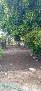 Chandler Homestay - Saint Philip - 1