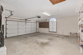 Peacock Paradise - 7