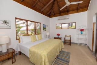 Treasure Beachfront Getaway- Butterfly Hill Villa and Studio Apartment - Treasure Beach - 8