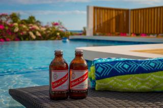 Treasure Beachfront Getaway- Butterfly Hill Villa and Studio Apartment - Treasure Beach - 2