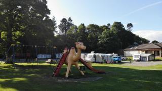 Faskally Woods Holiday Park - Pitlochry - 2