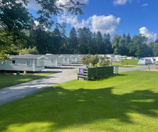 Faskally Woods Holiday Park - Pitlochry - 0
