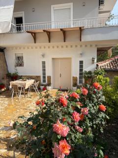 Vila STELIO - Berat - 4