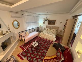Vila STELIO - Berat - 7