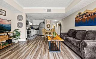 The Penthouse In the Heart of Plgeon Forge - Pigeon Forge - 5