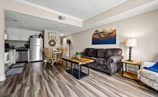 The Penthouse In the Heart of Plgeon Forge - Pigeon Forge - 4