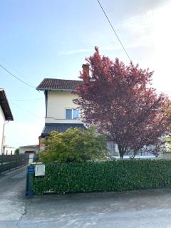 Apartman Lucija - Gradići - 1