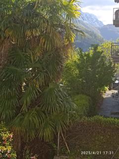 Casa Francesca - Cavigliano - 5