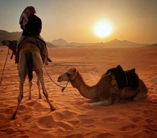 desert sands - Wadi Rum - 8