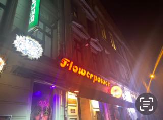 Flowerpower 10Personen-Penne-Hostel - Leipzig - 7