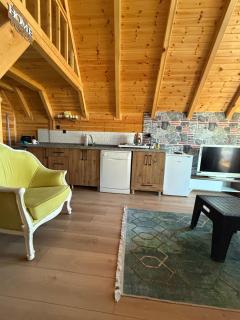 Mimoza BUNGALOV - Korucuk - 4
