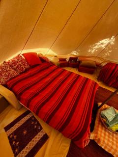 In Our Garden Sardinia - Orange Trees Glamping Tent - Capitana - 4