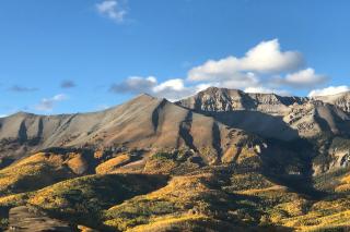 Sophia Sundance by Exceptional Stays - 4