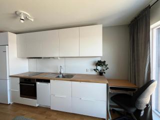 Studio apartment near Narvikfjell Gondola - Narvik - 9