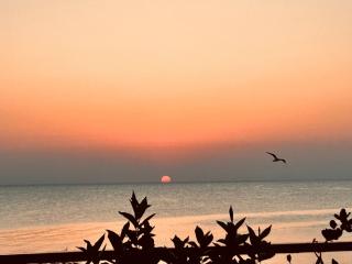 Dimora Alba sul Mare - Trani - 2