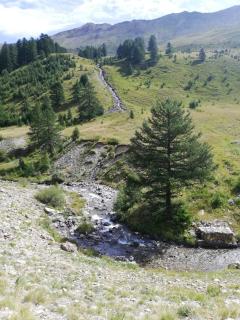 App vue montagne Barcelonnette proche piscine rando rivière nature - Barcelonnette - 1