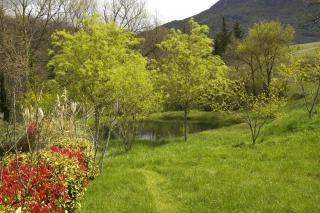 Bus vintage pour retraite en solo à Bugarach - 6