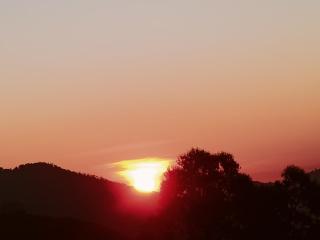 Munnar Adhi cottage in Chinnakanal - 4