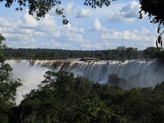 Curiango Birding Camp - 8