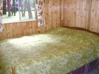 Lakeside Cottage for 8 with Boat Firepit and BBQ - Lakefield - 4