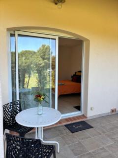 Le Pin d'Alep - Bormes-les-Mimosas - 1