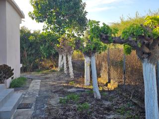 Country Side House (View, Parking, wifi, Fenced Yard, Close to the Sea) - Koroni - 7