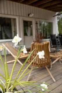 Charming house in nature reserve - - 5
