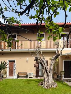 Villa Francesca - Pula - 8